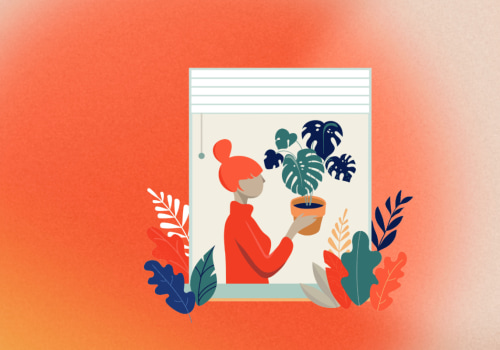 Customizing Themes and Plugins for Personalized Websites: A Beginner's Guide